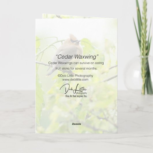 Cedar Waxing Kaart (Achterkant)