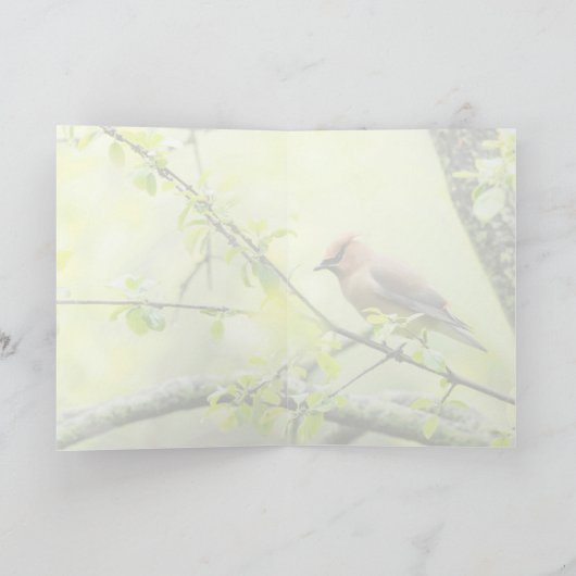 Cedar Waxing Kaart (Binnen)