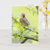 Cedar Waxing Kaart (Gele Bloem)