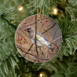 Cedar Waxing kerstversiering Keramisch Ornament