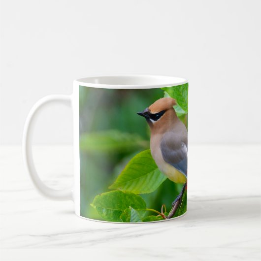 Cedar Waxing Koffiemok (Links)