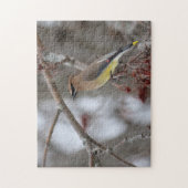 Cedar Waxing Legpuzzel (Verticaal)