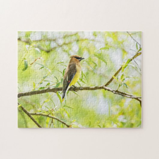 Cedar Waxing Legpuzzel (Horizontaal)