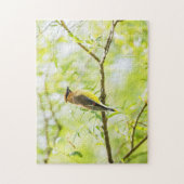 Cedar Waxing Legpuzzel (Verticaal)