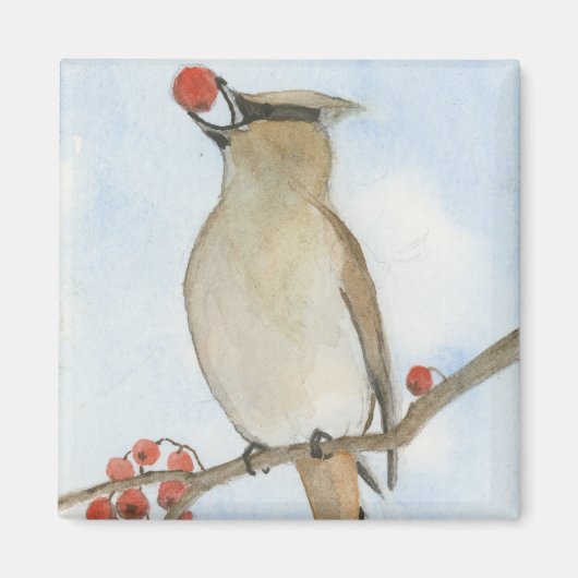 Cedar Waxing Magneet (Voorkant)