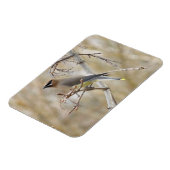 Cedar Waxing Magnet Magneet (Linkerzijde)