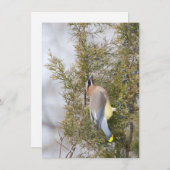 Cedar Waxing met Berry Note Card Bedankkaart (Voorkant / Achterkant)