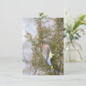 Cedar Waxing met Berry Note Card Bedankkaart (Staand voorkant)