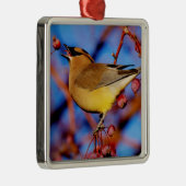 Cedar Waxing Metalen Ornament (Rechts)