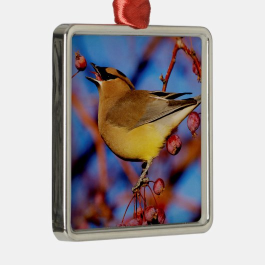 Cedar Waxing Metalen Ornament (Rechts)
