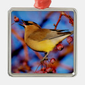 Cedar Waxing Metalen Ornament (Voorkant)