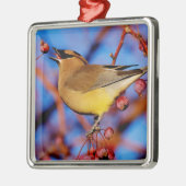 Cedar Waxing Metalen Ornament (Links)