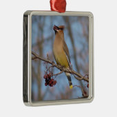 Cedar Waxing Metalen Ornament (Rechts)