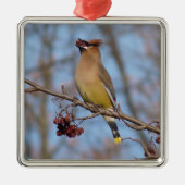Cedar Waxing Metalen Ornament (Voorkant)