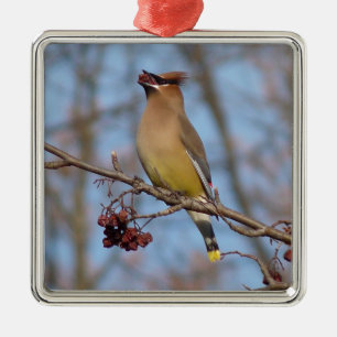Cedar Waxing Metalen Ornament