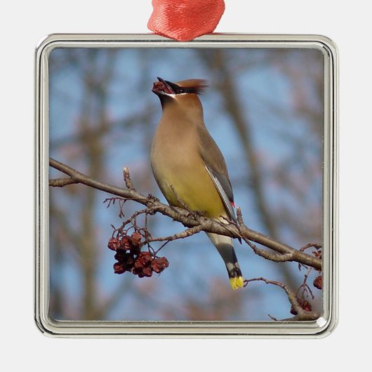 Cedar Waxing Metalen Ornament (Voorkant)