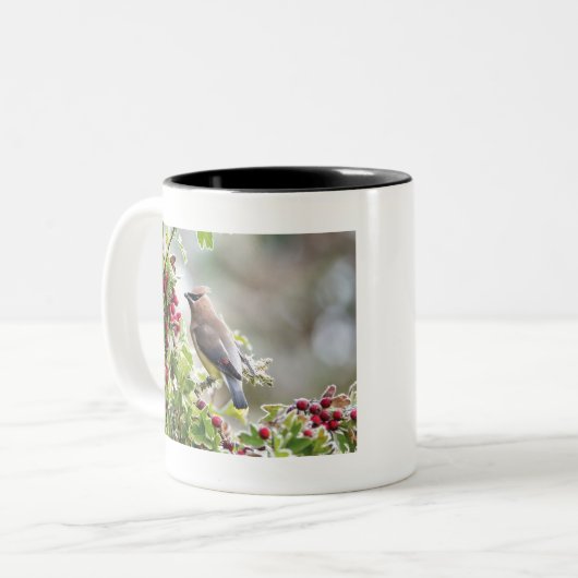 Cedar Waxing mok (Voorkant links)