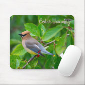 Cedar Waxing Muismat (Met muis)