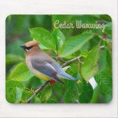 Cedar Waxing Muismat (Voorkant)