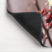 Cedar Waxing Muismat (Hoek)