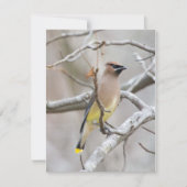 Cedar Waxing Note Card Bedankkaart (Voorkant)
