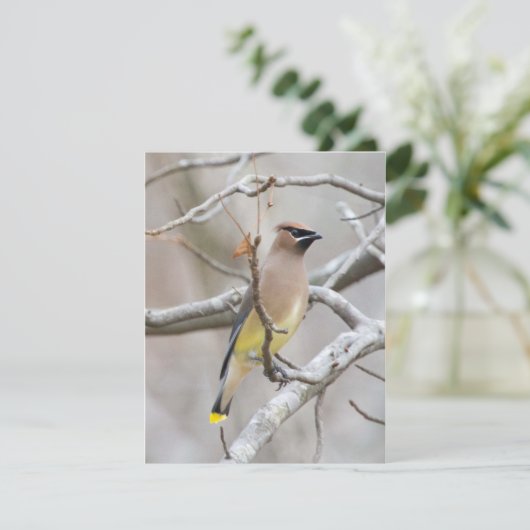 Cedar Waxing Note Card Bedankkaart (Staand voorkant)