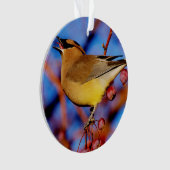 Cedar Waxing Ornament (voorkant)