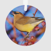 Cedar Waxing Ornament (achterkant)