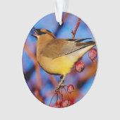 Cedar Waxing Ornament (voorkant)