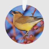 Cedar Waxing Ornament (voorkant)