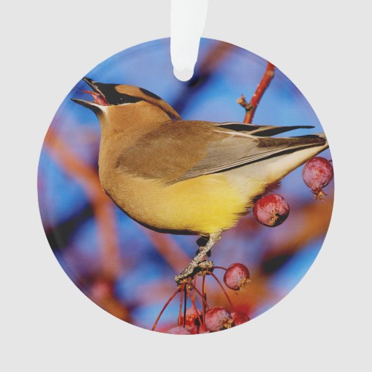 Cedar Waxing Ornament (voorkant)