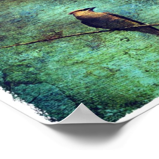 Cedar Waxing Poster (Hoek)