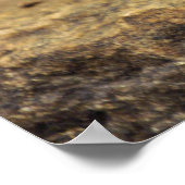 Cedar Waxing Poster (Hoek)