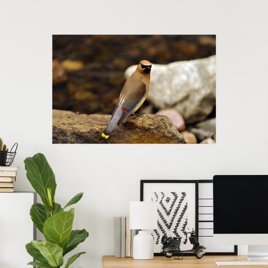 Cedar Waxing Poster (Thuiskantoor)
