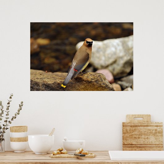 Cedar Waxing Poster (Keuken)