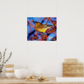Cedar Waxing Poster (Keuken)