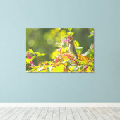 Cedar Waxwing and Poke Berries on a Tree Canvas Afdruk (Insitu (Houten vloer))
