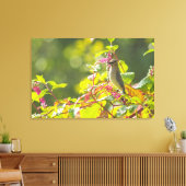 Cedar Waxwing and Poke Berries on a Tree Canvas Afdruk (Insitu (Woonkamer))