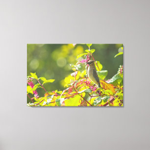 Cedar Waxwing and Poke Berries on a Tree Canvas Afdruk