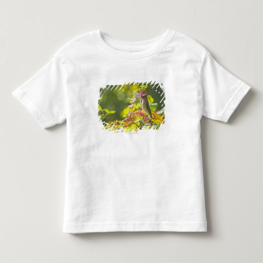 Cedar Waxwing and Poke Berries on a Tree Kinder Shirts (Voorkant)