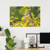 Cedar Waxwing and Poke Berries on a Tree Poster (Thuiskantoor)