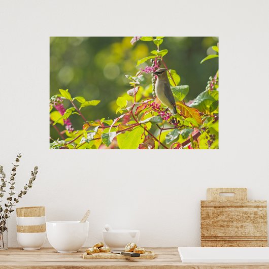 Cedar Waxwing and Poke Berries on a Tree Poster (Keuken)