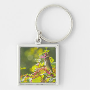 Cedar Waxwing and Poke Berries on a Tree Sleutelhanger