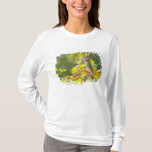 Cedar Waxwing and Poke Berries on a Tree T-shirt (Voorkant)
