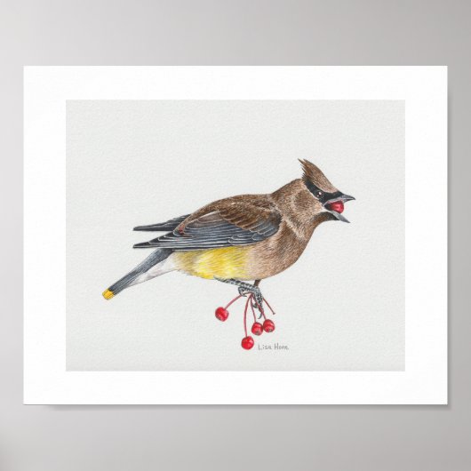 Cedar Waxwing Art Print (Voorkant)