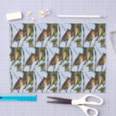 Cedar Waxwing - Backyard Bird Tissue Paper Tissuepapier (Craft)