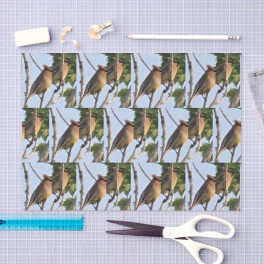 Cedar Waxwing - Backyard Bird Tissue Paper Tissuepapier (Craft)