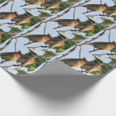 Cedar Waxwing - Backyard Bird - Wrapping Paper Rol Cadeaupapier (Hoek)