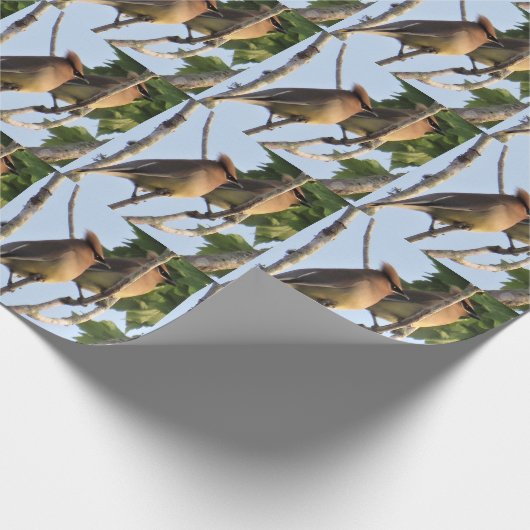 Cedar Waxwing - Backyard Bird - Wrapping Paper Rol Cadeaupapier (Hoek)