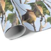 Cedar Waxwing - Backyard Bird - Wrapping Paper Rol Cadeaupapier (Rol Hoek)